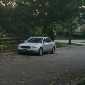 Meet your Posher, Peyton